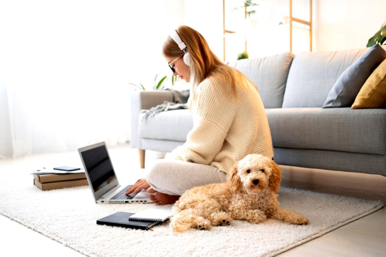 Interaktive Finanzplanungs-Session bei arionvexulo